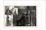 The Burmese Priests and Mr. Barnum's Elephant at the Zoological Gardens by Anonymous