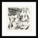 The Wedding of Commissioner Railton of the Salvation Army at Exeter Hall by Anonymous