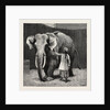 Mr. Barnum's White Burmese Elephant Toung Taloung: The Elephant with His Burmese Attendant in Jumbo's House at the Zoological Gardens by Anonymous