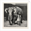 Mr. Barnum's White Burmese Elephant Toung Taloung: The Elephant with His Burmese Attendant in Jumbo's House at the Zoological Gardens by Anonymous