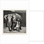 Mr. Barnum's White Burmese Elephant Toung Taloung: The Elephant with His Burmese Attendant in Jumbo's House at the Zoological Gardens by Anonymous