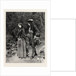 Dorothy Forster: Daphne or Dorothy which? by Anonymous