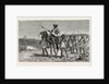 The Rebellion in the Soudan: Osman Digna Marching against the Egyptian Forces by Anonymous