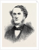 The Conference on the Eastern Question, Some of the Members: Baron Werther (Germany) by Anonymous