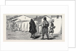 The Eastern Question: A Turkish Officer and His Orderly, at Nisch by Anonymous