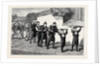 Bulgaria, a Marriage Procession: The Bridegroom Sending Presents to the Bride by Anonymous
