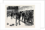 Curling at an Ice Rink, Manchester by Anonymous