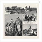 To Siberia by Sea, Captain Wiggins' Expedition by Anonymous