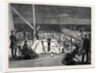 Visit of the Princess of Wales to Greece, Evening Amusement on Board the Royal Yacht Osborne by Anonymous