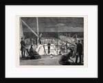 Visit of the Princess of Wales to Greece, Evening Amusement on Board the Royal Yacht Osborne by Anonymous