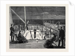 Visit of the Princess of Wales to Greece, Evening Amusement on Board the Royal Yacht Osborne by Anonymous