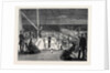 Visit of the Princess of Wales to Greece, Evening Amusement on Board the Royal Yacht Osborne by Anonymous
