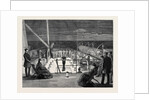 Visit of the Princess of Wales to Greece, Evening Amusement on Board the Royal Yacht Osborne by Anonymous