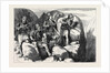 The War in the East: with the Turks: Bashi-Bazouks in Ambush by Anonymous