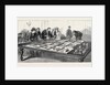 Exhibition at Athens of the Mycenae Treasures Discovered by Dr. Schliemann by Anonymous
