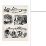 Life in Manitoba, British North America by Anonymous