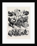 Prize Birds, Crystal Palace Poultry Show, 1870 by Anonymous