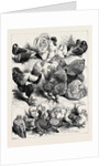 Prize Birds, Crystal Palace Poultry Show, 1870 by Anonymous