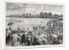 Coursing at Altcar, 1870 by Anonymous