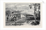 The Peabody Train, 1870 by Anonymous