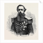 Captain Cowper Phipps Coles, 1870 by Anonymous