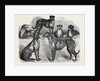 Deerhounds from Windsor Great Park, 1870 by Anonymous