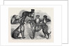 Deerhounds from Windsor Great Park, 1870 by Anonymous