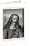 Head of Our Saviour from Leonardo Da Vinci's Last Supper by Anonymous