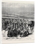 The Volunteer Review at Brighton, Stand Easy, 1870 by Anonymous
