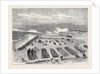 The Volunteer Review at Brighton: The Attack, 1870 by Anonymous