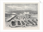 The Volunteer Review at Brighton: The Attack, 1870 by Anonymous