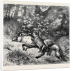 After Breakfast, from a Picture by J.B. Zwecker in the Old Bona Street Gallery, 1870 by Anonymous