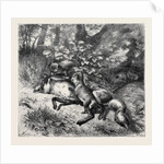 After Breakfast, from a Picture by J.B. Zwecker in the Old Bona Street Gallery, 1870 by Anonymous