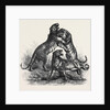 Group of Tigers Fighting, 1870 by Anonymous