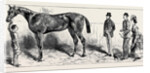 The Training of a Racehorse: At Home in the Stable, 1870 by Anonymous