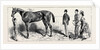The Training of a Racehorse: At Home in the Stable, 1870 by Anonymous
