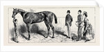The Training of a Racehorse: At Home in the Stable, 1870 by Anonymous