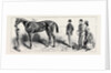 The Training of a Racehorse: At Home in the Stable, 1870 by Anonymous