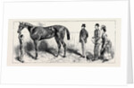 The Training of a Racehorse: At Home in the Stable, 1870 by Anonymous