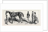 The Training of a Racehorse: At Home in the Stable, 1870 by Anonymous