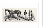 The Training of a Racehorse: At Home in the Stable, 1870 by Anonymous
