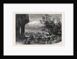 Stanley Park, Liverpool, 1870 by Anonymous