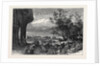 Stanley Park, Liverpool, 1870 by Anonymous