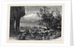 Stanley Park, Liverpool, 1870 by Anonymous
