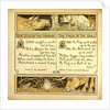 The Dog in the Manger the Frog and the Bull by Anonymous