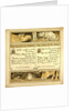 The Dog in the Manger the Frog and the Bull by Anonymous