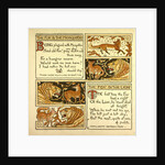 The Fox and the Mosquitoes the Fox and the Lion by Anonymous