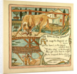 The Dog and the Shadow by Anonymous