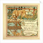 The Dog and the Shadow by Anonymous