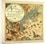 Neither Beast Nor Bird by Anonymous